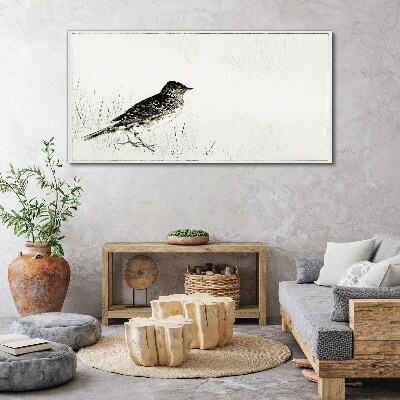 Bird on the grass background Canvas print