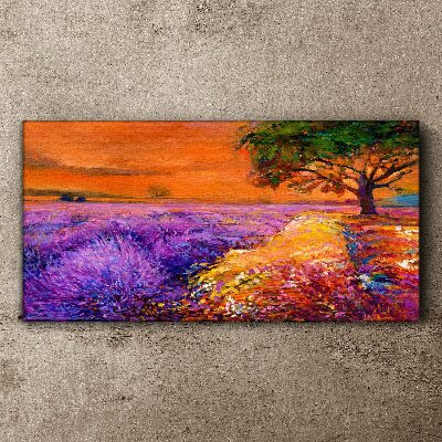 Lavender fields in sunset Canvas print