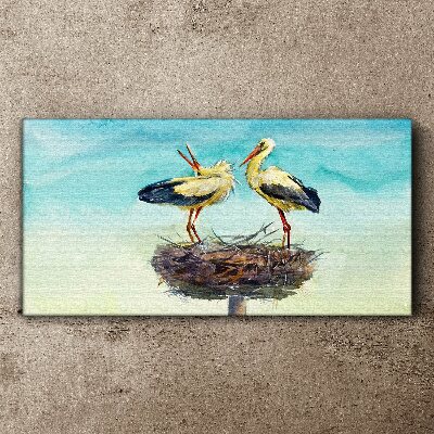 Storks on a nest in the blue Canvas Wall art