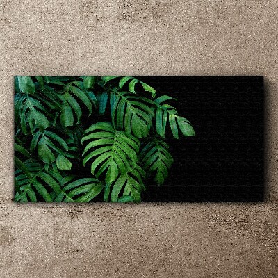 Green leaves on a black background Canvas Wall art
