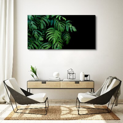 Green leaves on a black background Canvas Wall art