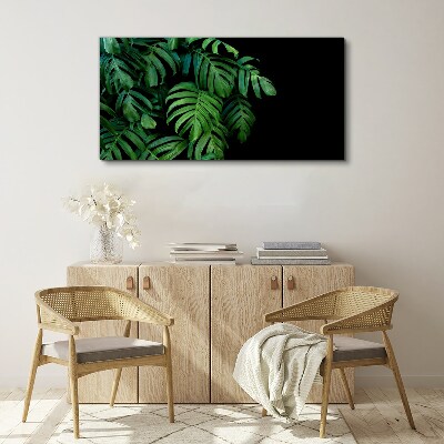 Green leaves on a black background Canvas Wall art