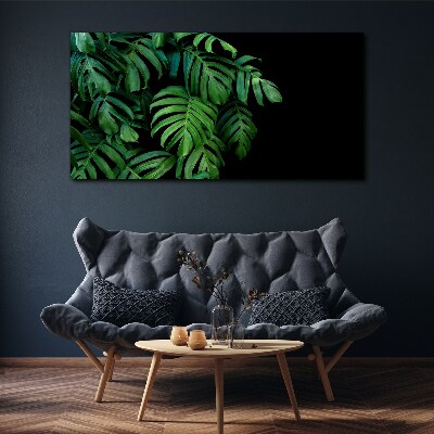 Green leaves on a black background Canvas Wall art