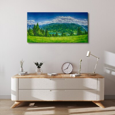 Green mountain landscape in summer Canvas print
