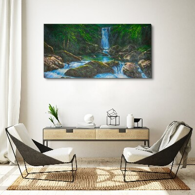 Waterfall rocks tree Canvas print