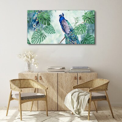 Peacock in the tropical jungle Canvas Wall art