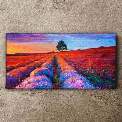 Landscape of lavender fields at sunset Canvas print