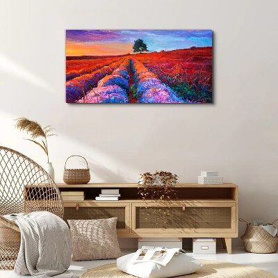 Landscape of lavender fields at sunset Canvas print