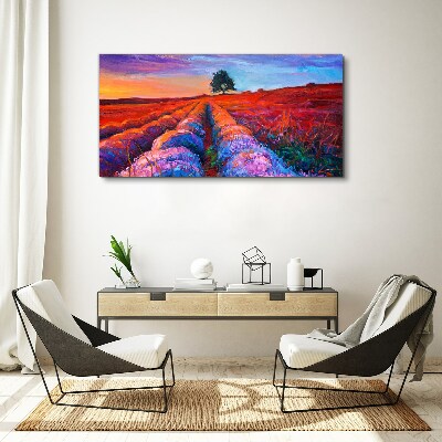 Landscape of lavender fields at sunset Canvas print