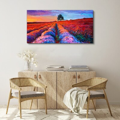 Landscape of lavender fields at sunset Canvas print