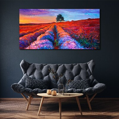 Landscape of lavender fields at sunset Canvas print