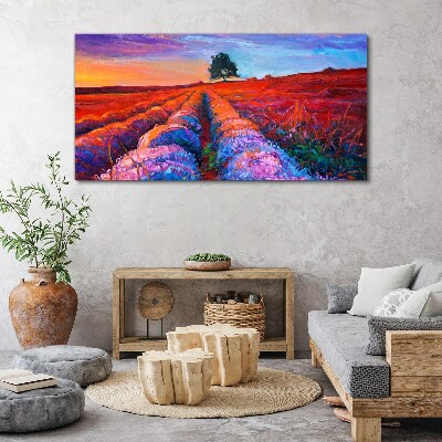 Landscape of lavender fields at sunset Canvas print