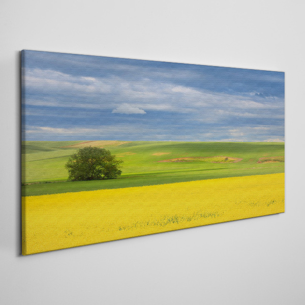 Yellow fields under blue sky Canvas print