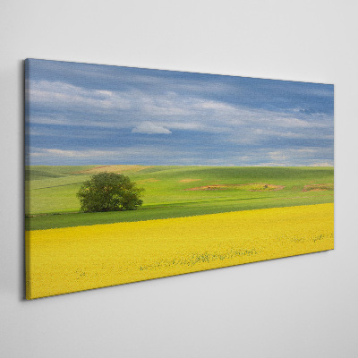 Yellow fields under blue sky Canvas print