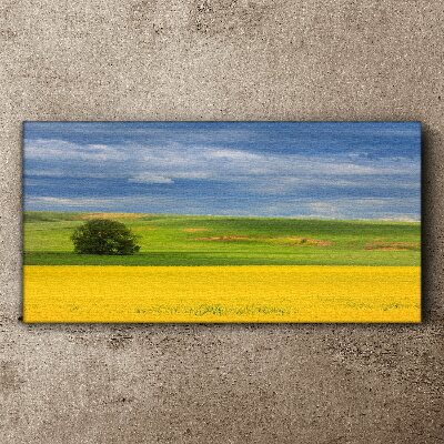 Yellow fields under blue sky Canvas print