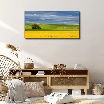 Yellow fields under blue sky Canvas print