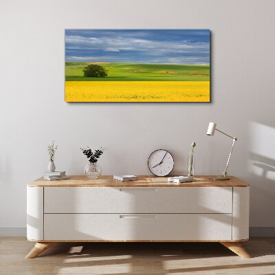 Yellow fields under blue sky Canvas print