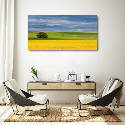 Yellow fields under blue sky Canvas print