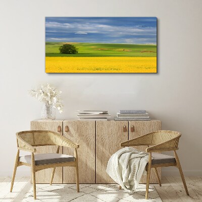 Yellow fields under blue sky Canvas print