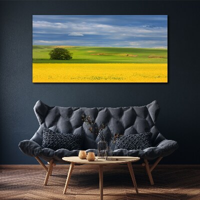 Yellow fields under blue sky Canvas print