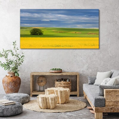 Yellow fields under blue sky Canvas print