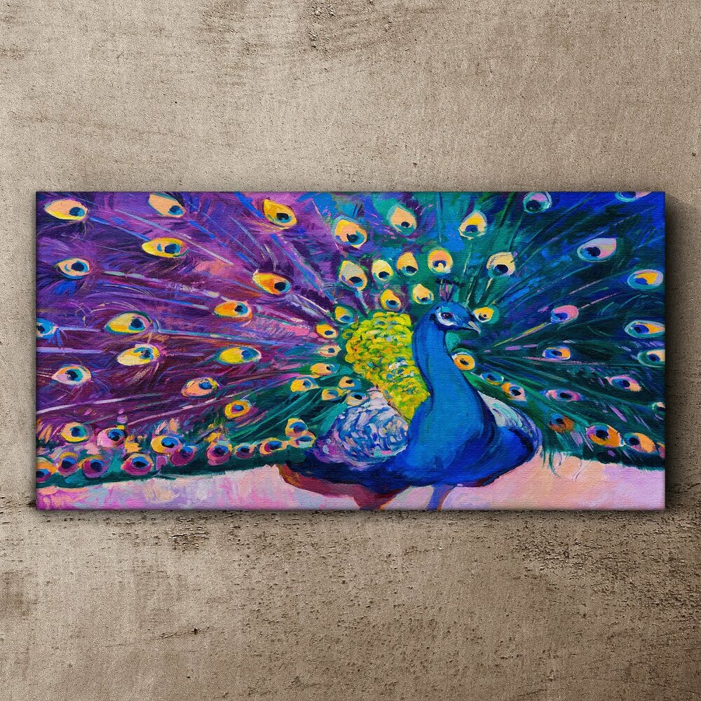 Peacock Feathers Animals SINGLE CANVAS WALL ART Picture Print VA 