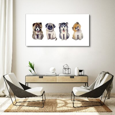 Four adorable puppies Canvas Wall art