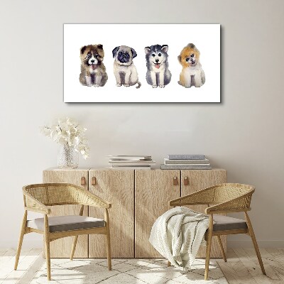 Four adorable puppies Canvas Wall art