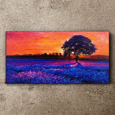 Sunset over a purple field Canvas print