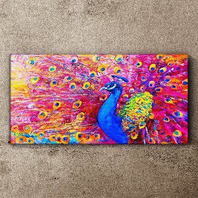 Animal bird peacock feathers Canvas Wall art