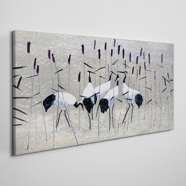 White cranes in the reeds Canvas print