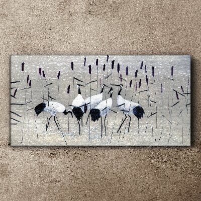 White cranes in the reeds Canvas print
