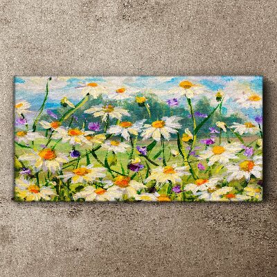 A flower paradise in the summer sun Canvas Wall art