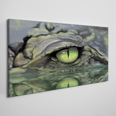 Frog's eye in water reflection Canvas Wall art