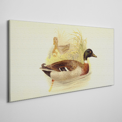 Abstraction animals Canvas Wall art