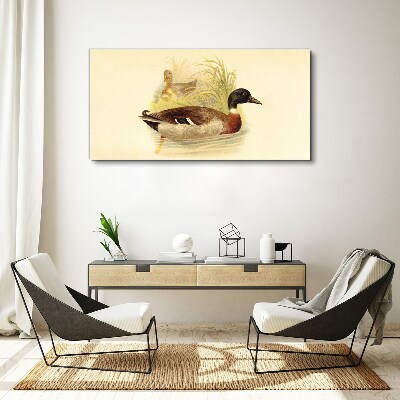 Ducks in the grass Canvas Wall art