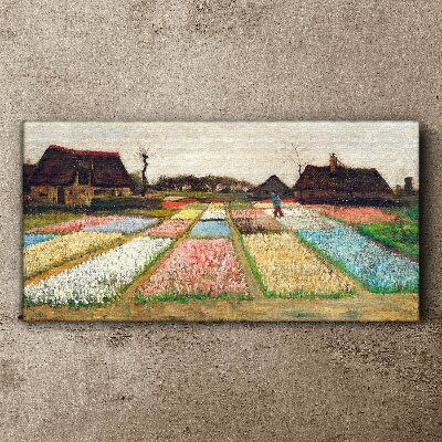 Spring tulip fields Canvas print