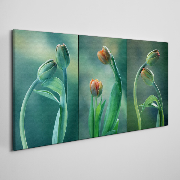 Tulips in shades of green Canvas print
