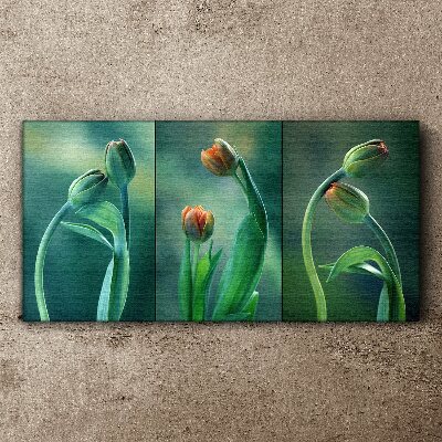 Tulips in shades of green Canvas print
