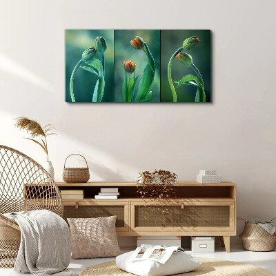 Tulips in shades of green Canvas print