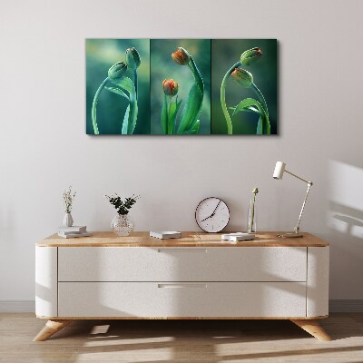Tulips in shades of green Canvas print
