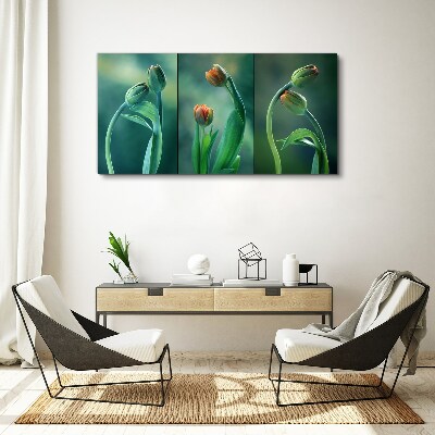 Tulips in shades of green Canvas print