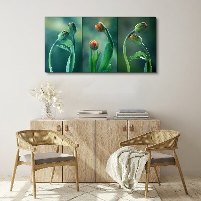 Tulips in shades of green Canvas print