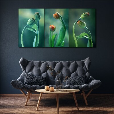 Tulips in shades of green Canvas print