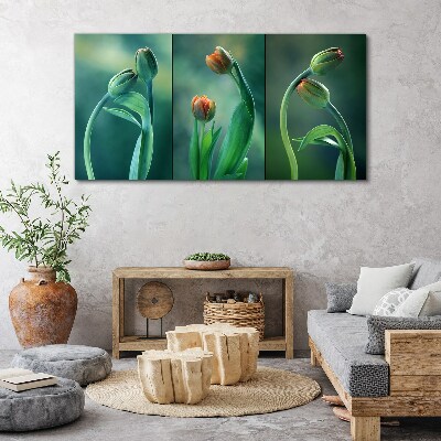 Tulips in shades of green Canvas print