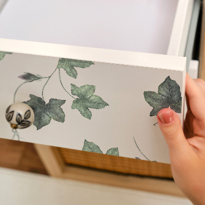 Furniture decal Ivy leaves