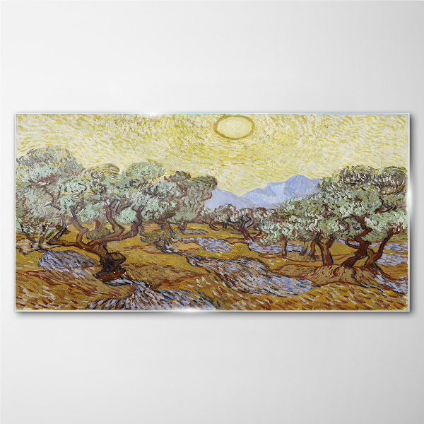 Olive trees in the sun Glass Wall Art