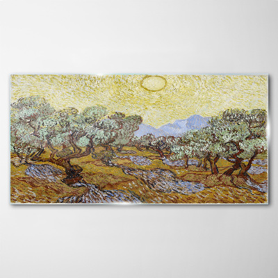 Olive trees in the sun Glass Wall Art