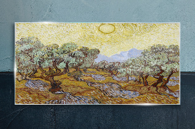 Olive trees in the sun Glass Wall Art