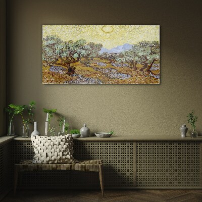 Olive trees in the sun Glass Wall Art